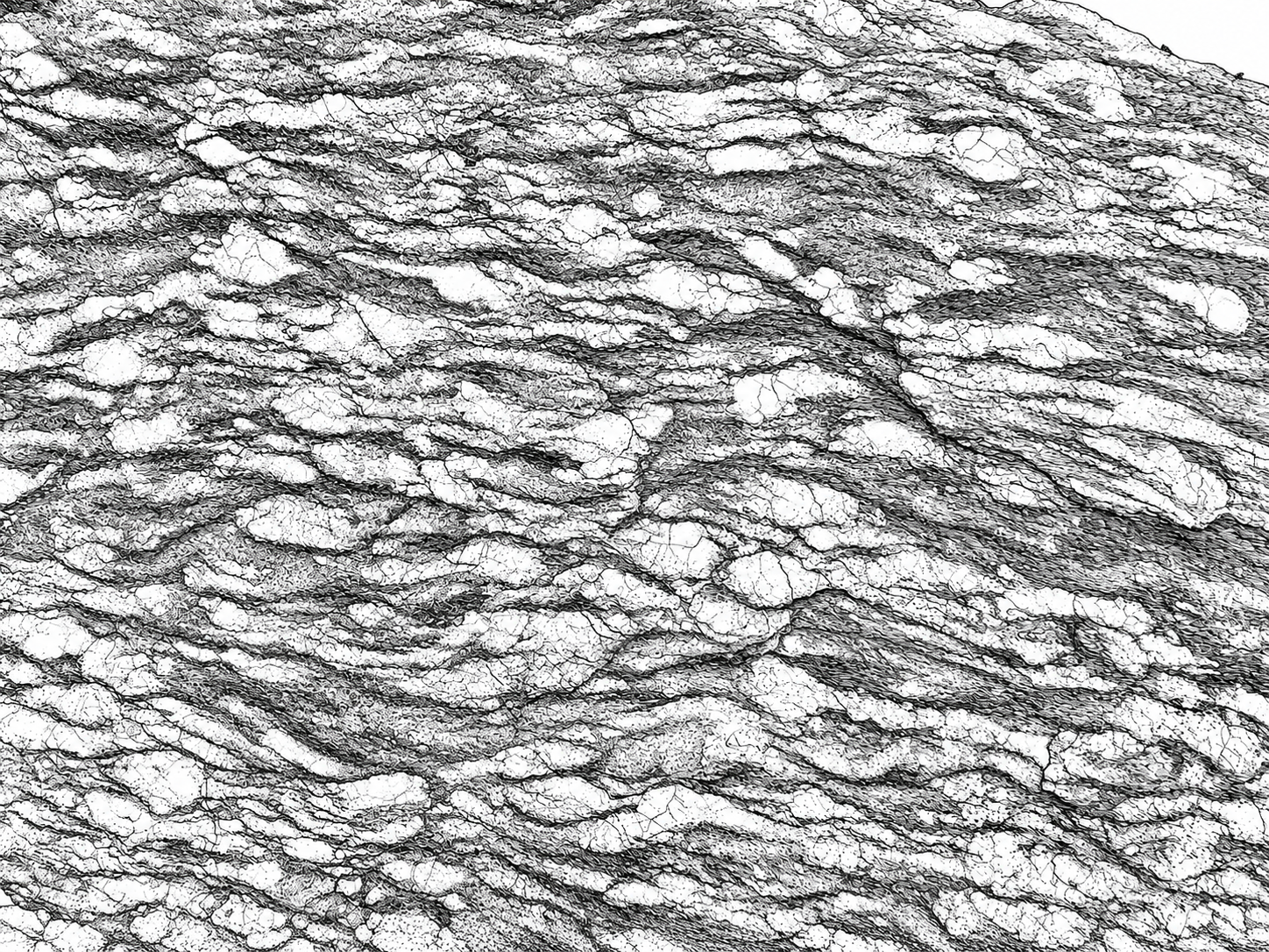 ChatGPT Image 18. 9. 2026 10_43_28 (2)